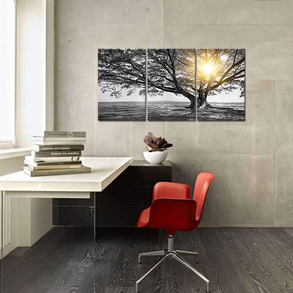 Three Piece Black White Tree Landscape Framed Canvas