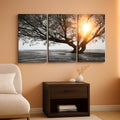 Three Piece Black White Tree Landscape Framed Canvas