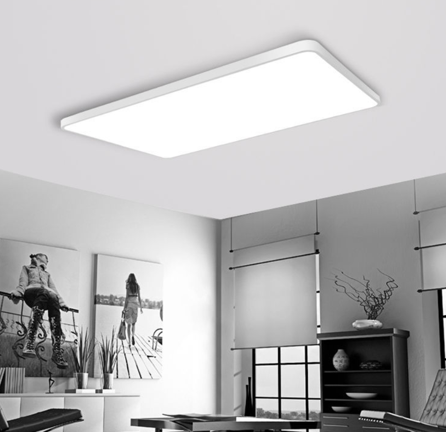Ceiling Light Fixture for Bedroom and Living Room