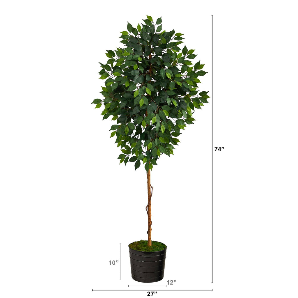 Faux Ficus Tree in Black Planter, 74”