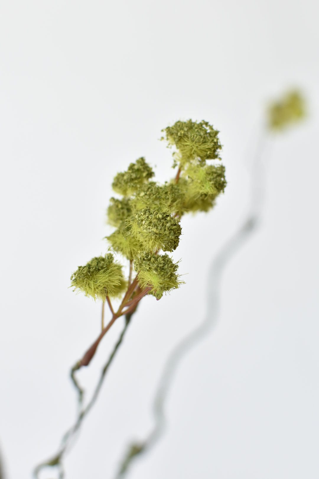30" Faux Mini Fuzzy Blossom Branch