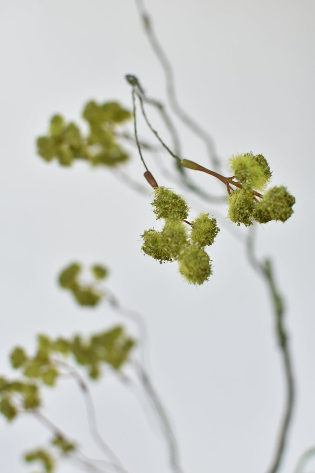 30" Faux Mini Fuzzy Blossom Branch