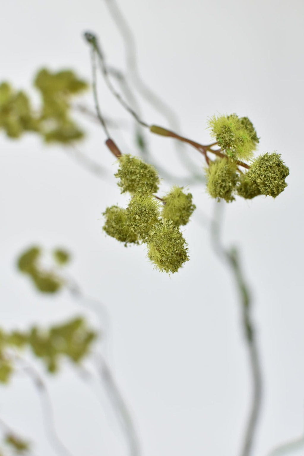 30" Faux Mini Fuzzy Blossom Branch