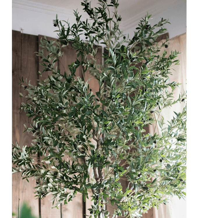 Tall Olive Tree 118"