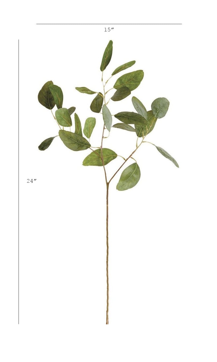 24" Faux Eucalyptus Leaf Stem