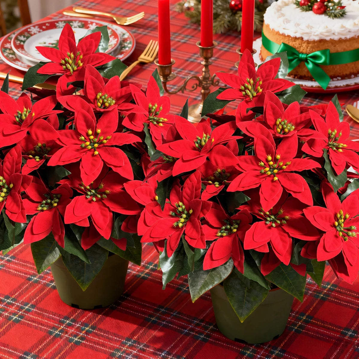Red Poinsettia Plants for Christmas Decor