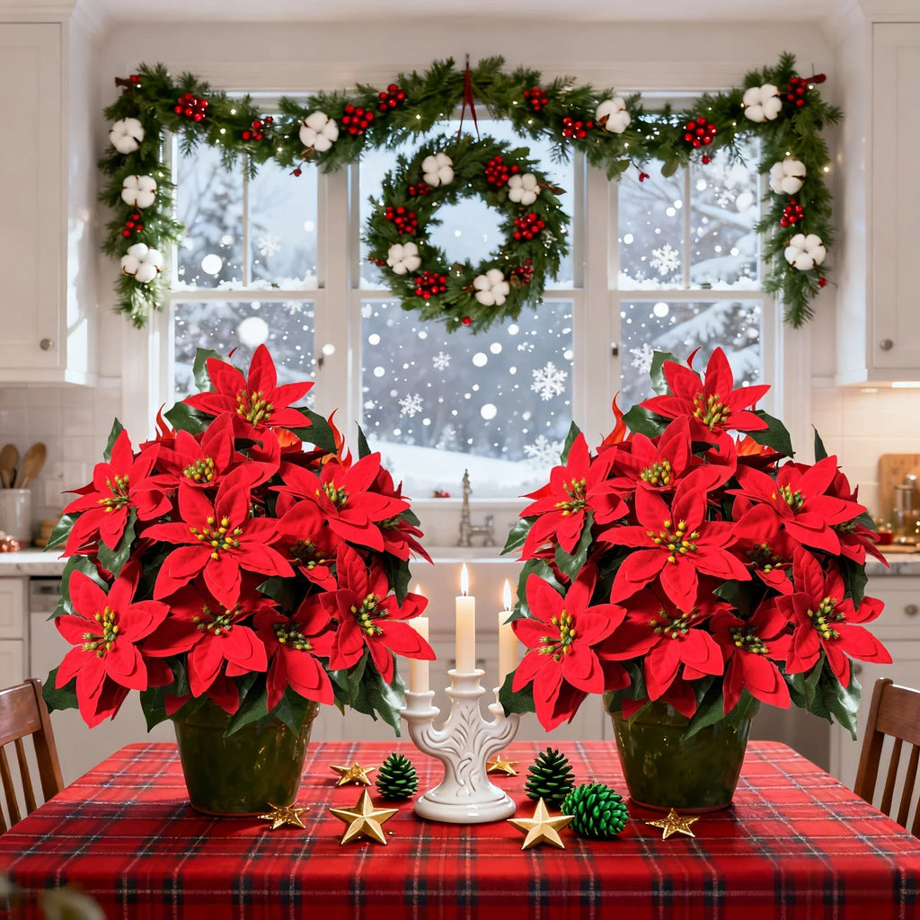 Red Poinsettia Plants for Christmas Decor