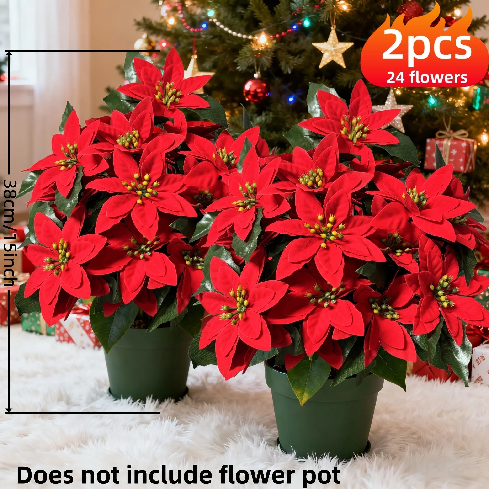 Red Poinsettia Plants for Christmas Decor