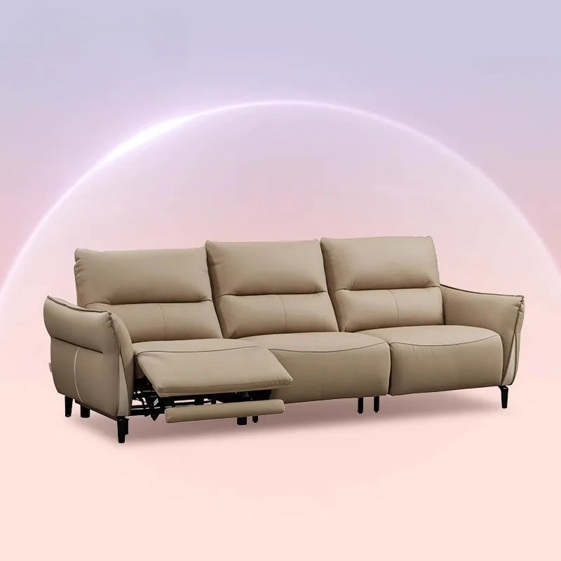 Classic Adults Living Room Sofa