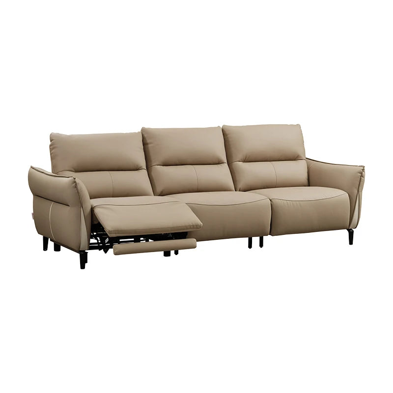 Classic Adults Living Room Sofa