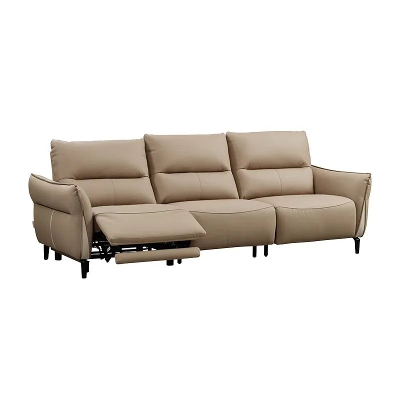 Classic Adults Living Room Sofa