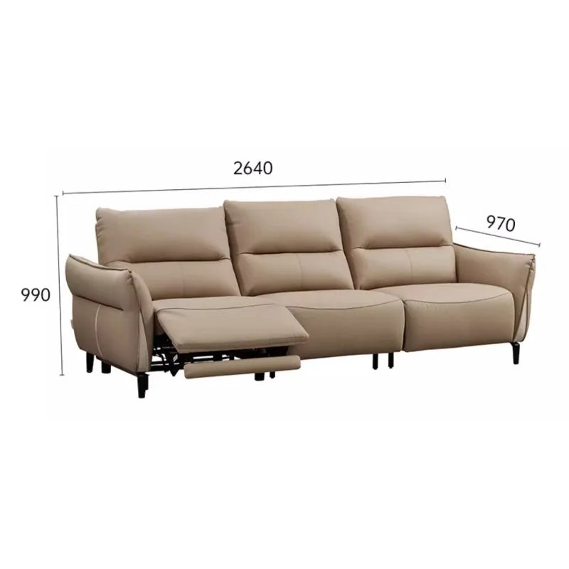 Classic Adults Living Room Sofa