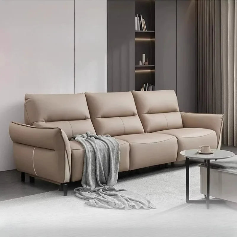 Classic Adults Living Room Sofa