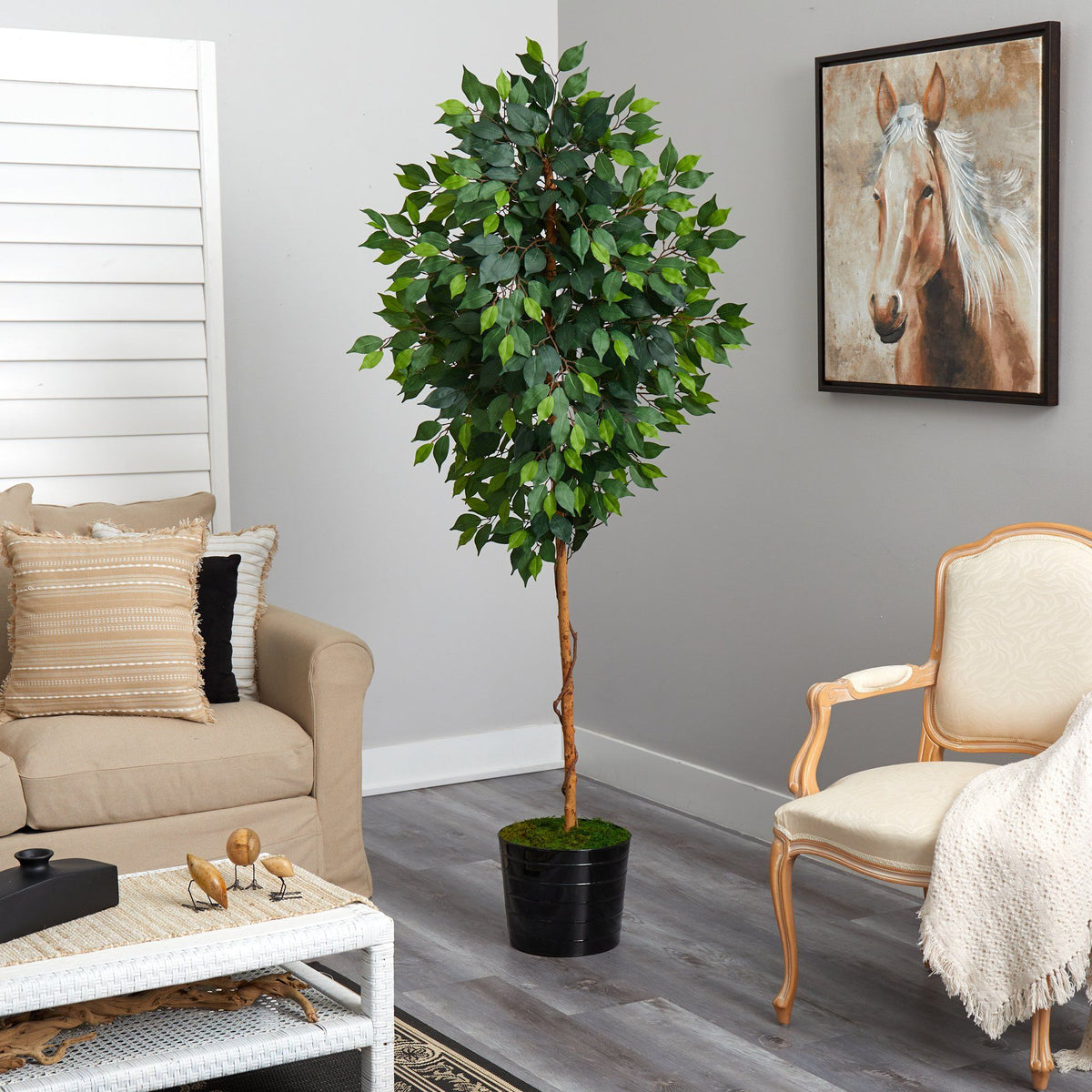Faux Ficus Tree in Black Planter, 74”