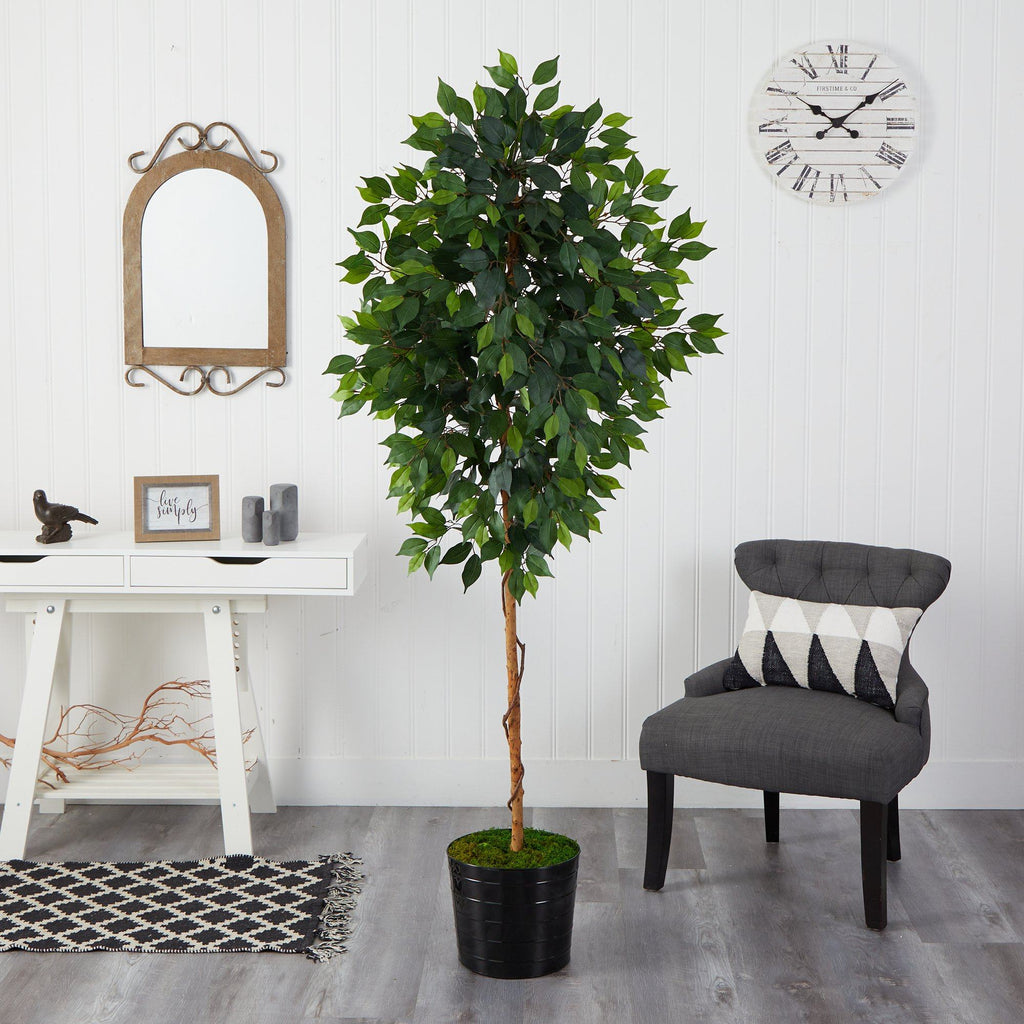 Faux Ficus Tree in Black Planter, 74”
