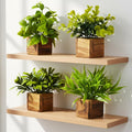 Decorative Artificial Potted Plant