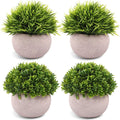 Green Artificial Plant for Home Interiors
