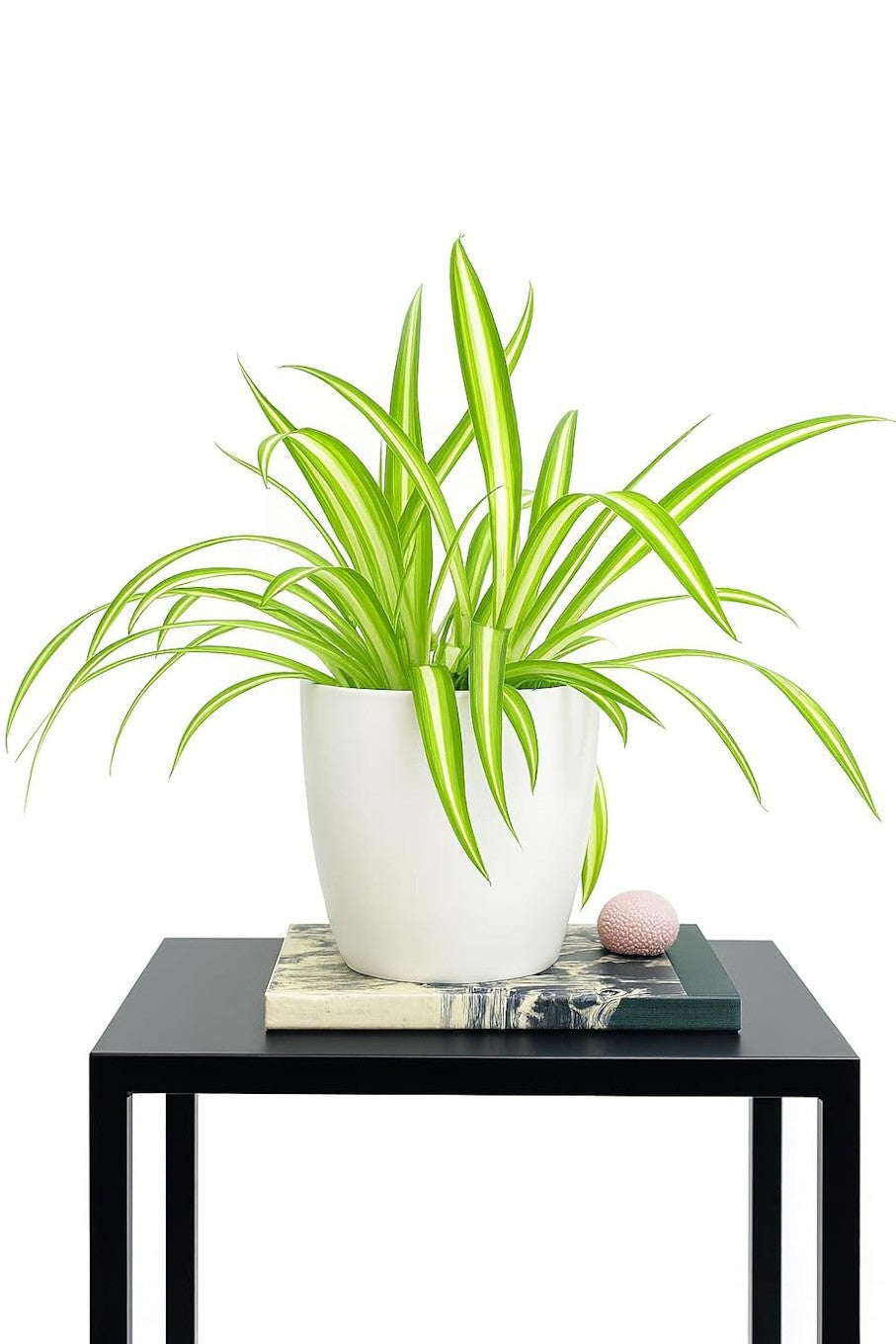 Premium Artificial Plant for Shelf Décor