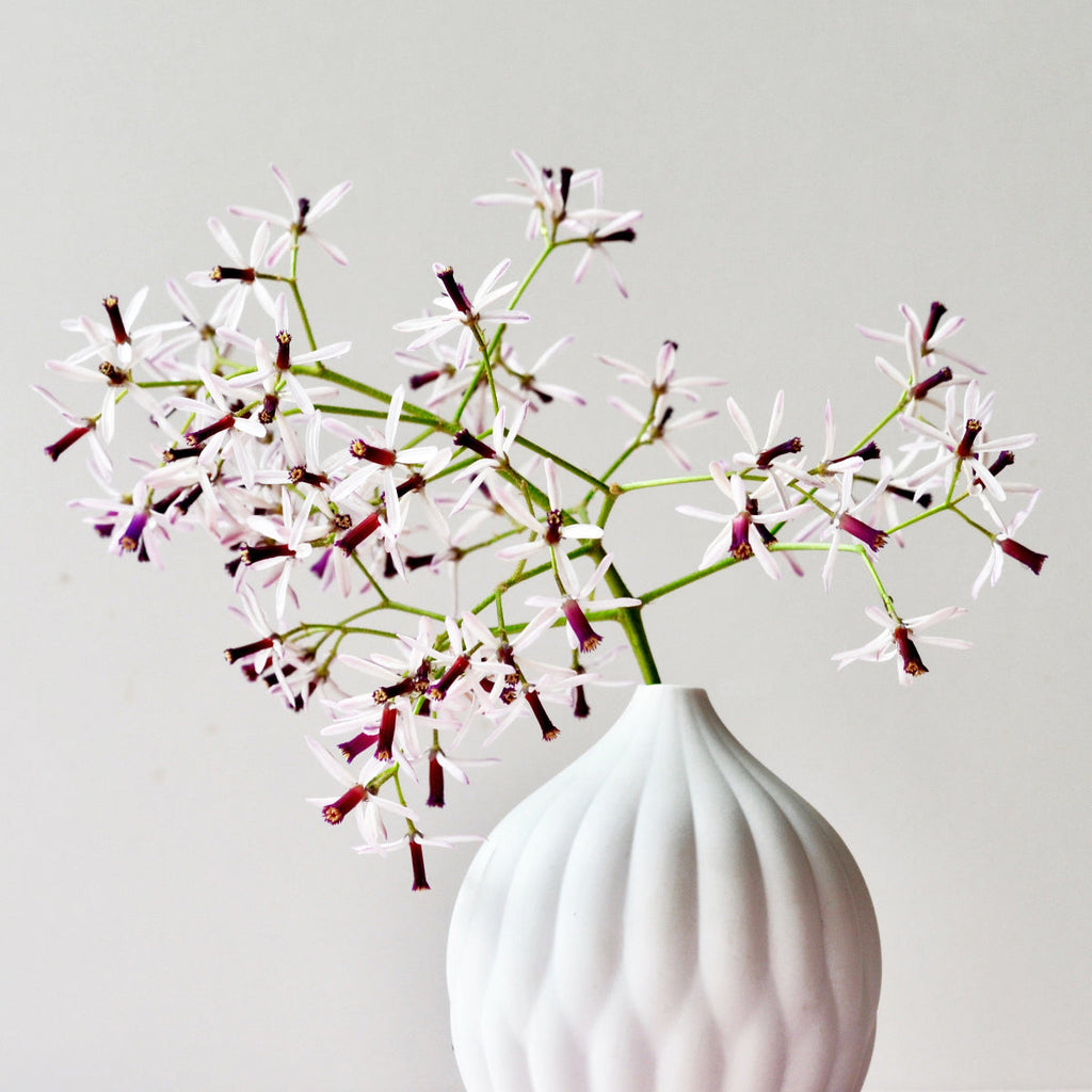 Petite Textured Porcelain Vase